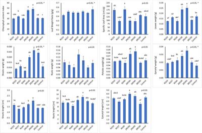 Plant growth–promoting rhizobacteria: Peribacillus frigoritolerans 2RO30 and Pseudomonas sivasensis 2RO45 for their effect on canola growth under controlled as well as natural conditions